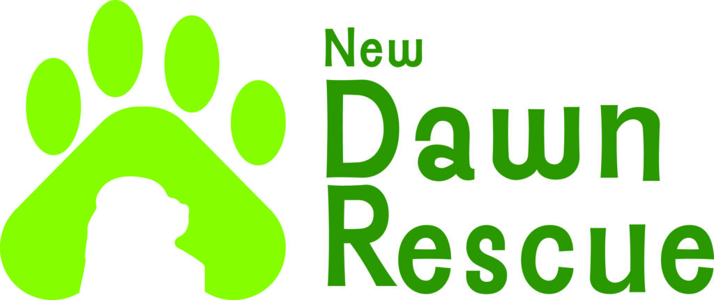 Logo copy